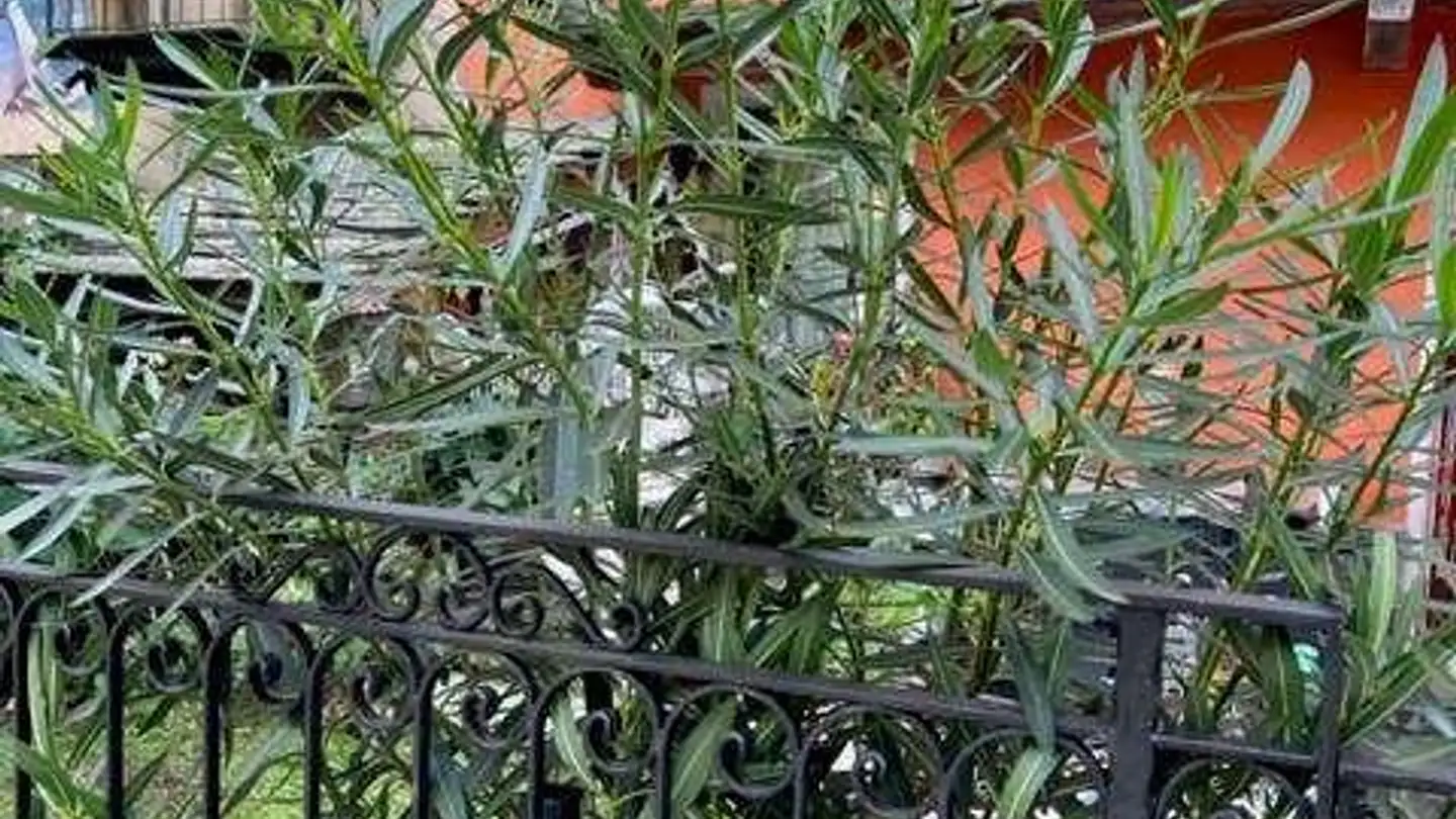 Casa singola in vendita - 6549 Laura - Foto 2