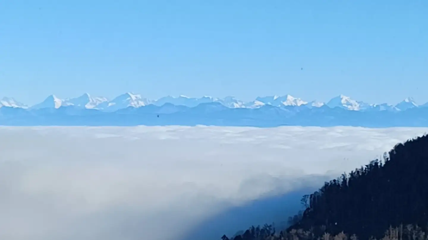 Appartement à louer - Avenue Des Alpes 20, 1450 Ste-Croix - Photo 2