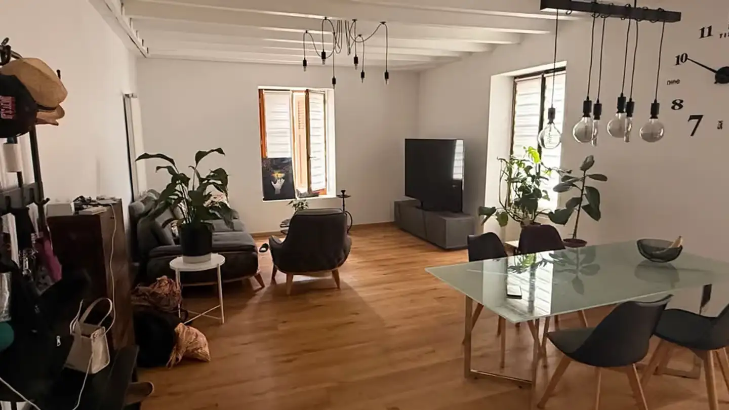 Appartamento in affitto - Route De Suisse 15, 1290 Versoix