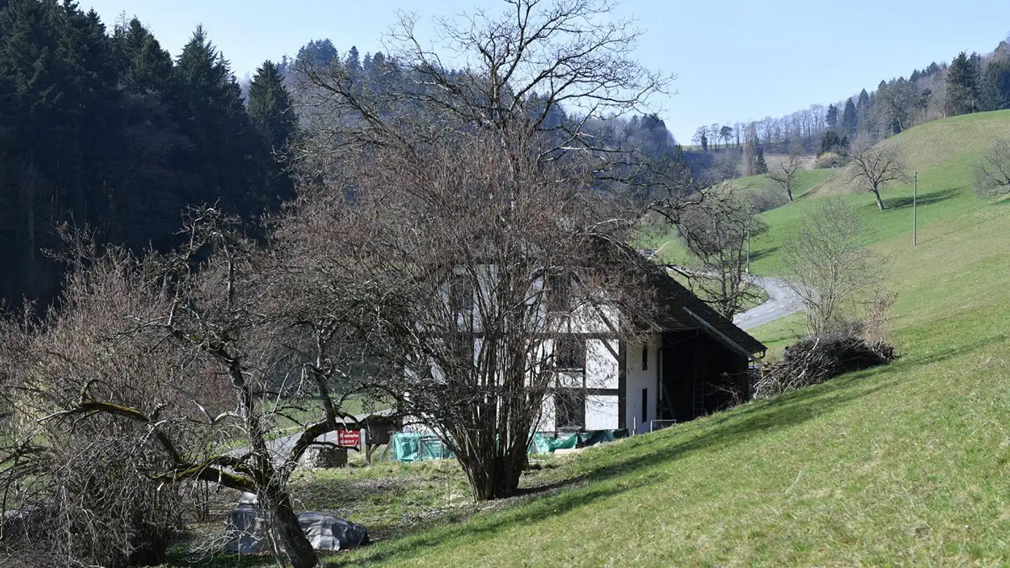 Maison individuelle à vendre - Böhlerstrasse 54, 5726 Unterkulm - Photo 4