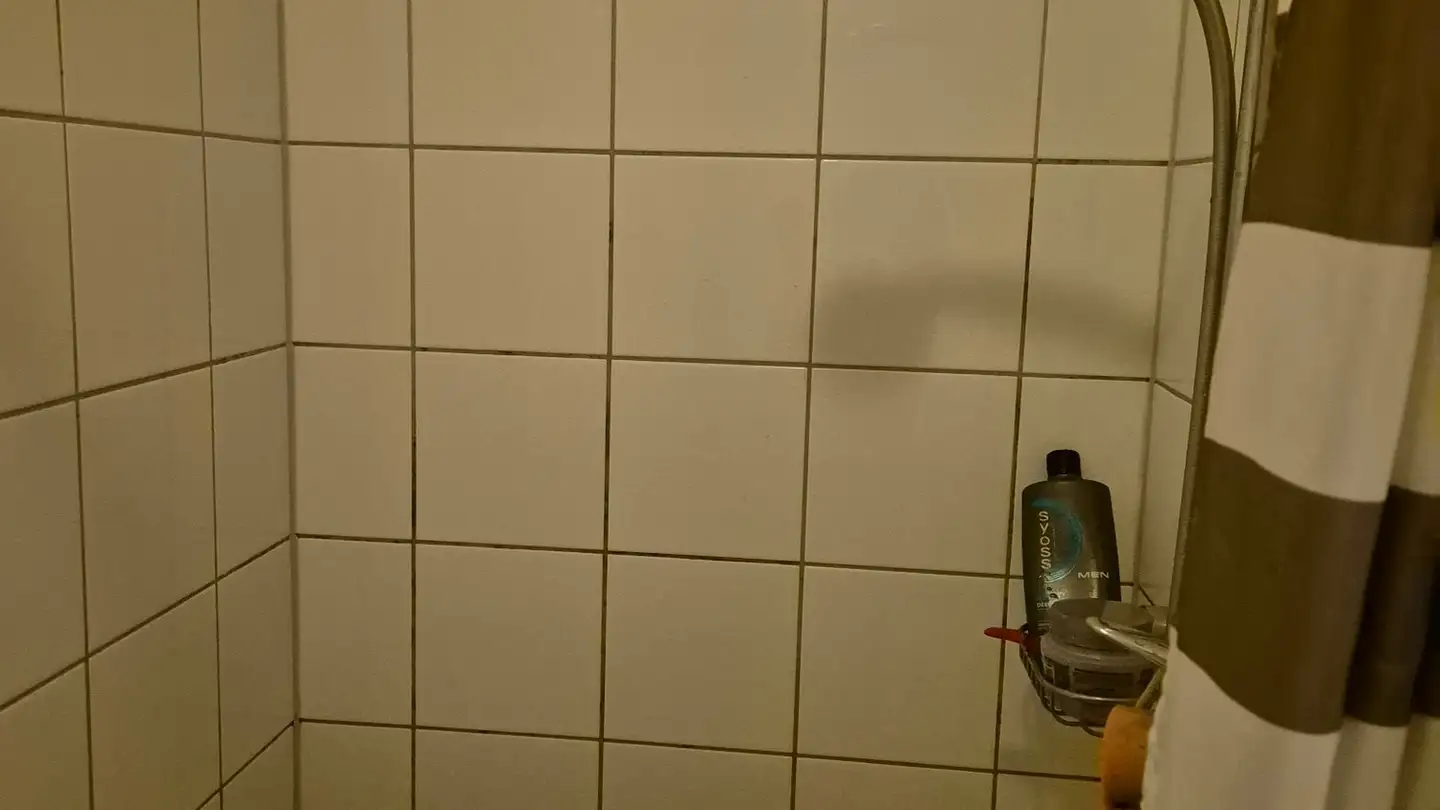 Chambre à louer - Hofstattstrasse, 8280 Kreuzlingen - Photo 3