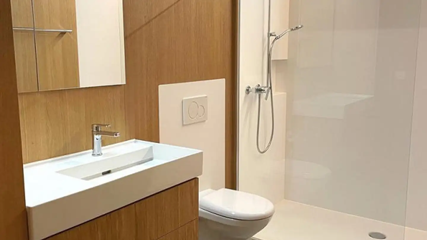 Attique à louer - Neumattstrasse 1, 4226 Breitenbach