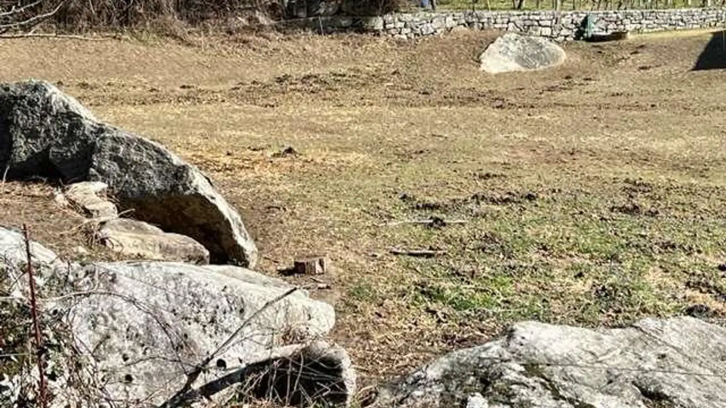 Terreno edificabile in vendita - 6721 Ludiano - Photo 3