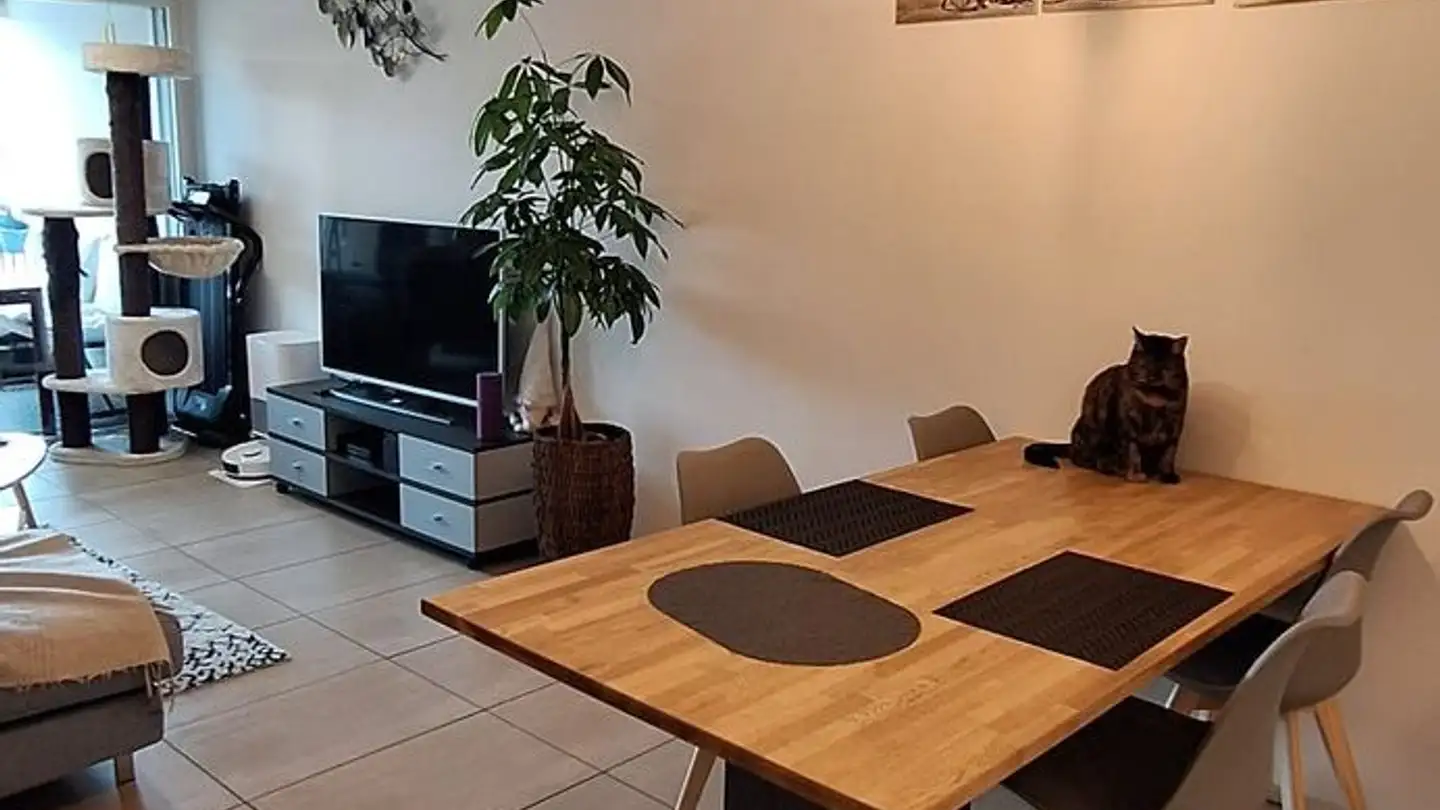 Apartment for rent - Haut De Scherwyl 4, 1634 La Roche FR - Photo 4