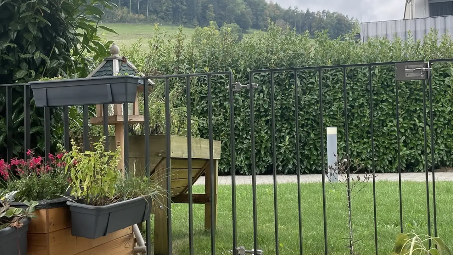 Stanza singola in affitto - 5315 Böttstein - Photo 3