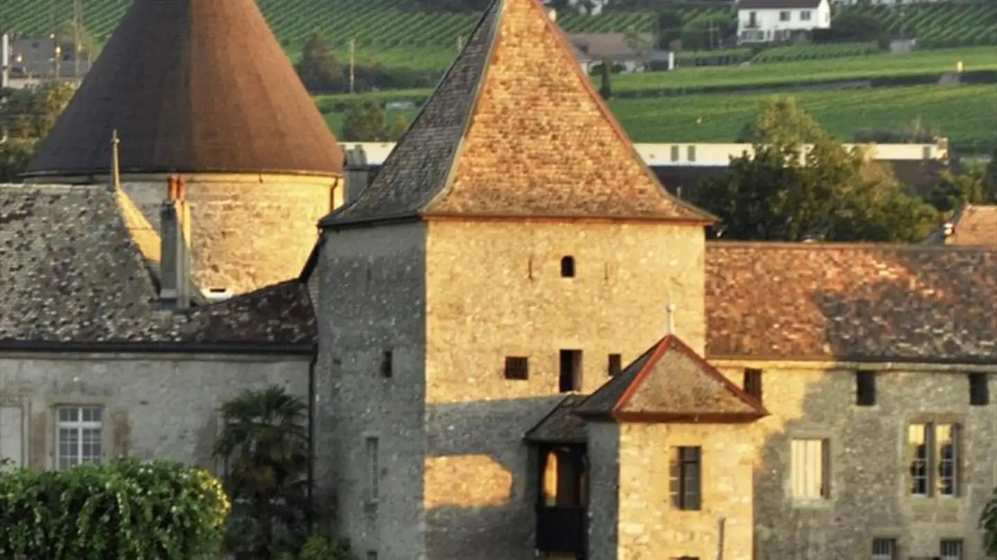 Appartamento in affitto - 1180 Rolle - Foto 3