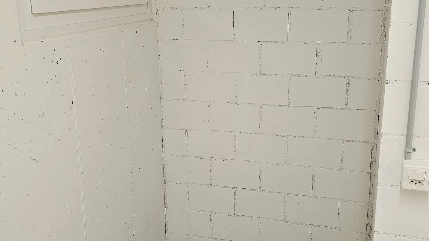 Cantina divisa in affitto - Alte Bahnhofstrasse 23, 8264 Eschenz - Photo 2