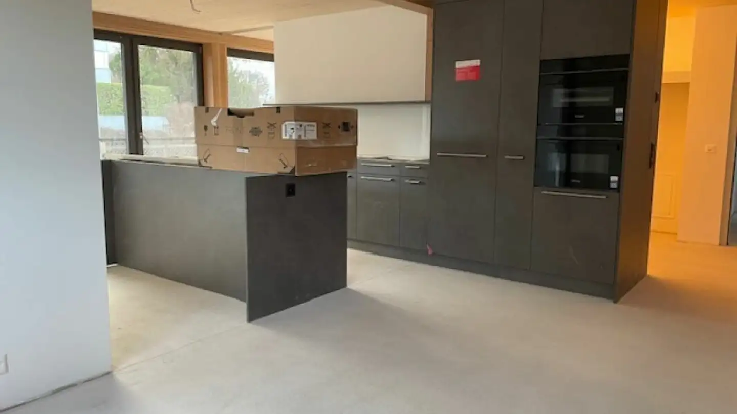 Appartamento in affitto - Heubachstrasse 61, 8810 Horgen - Foto 4