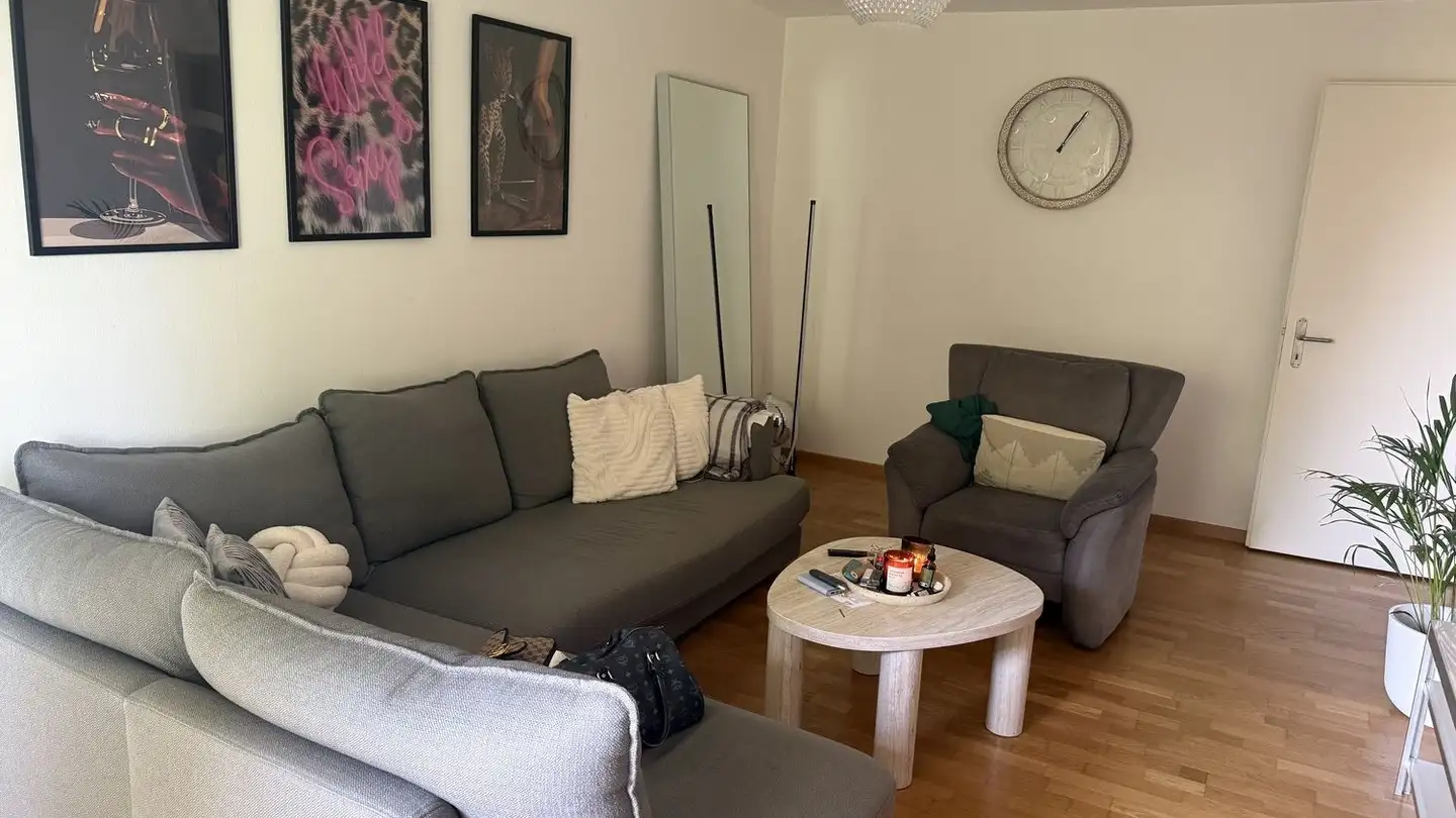 Apartment for rent - 8953 Dietikon