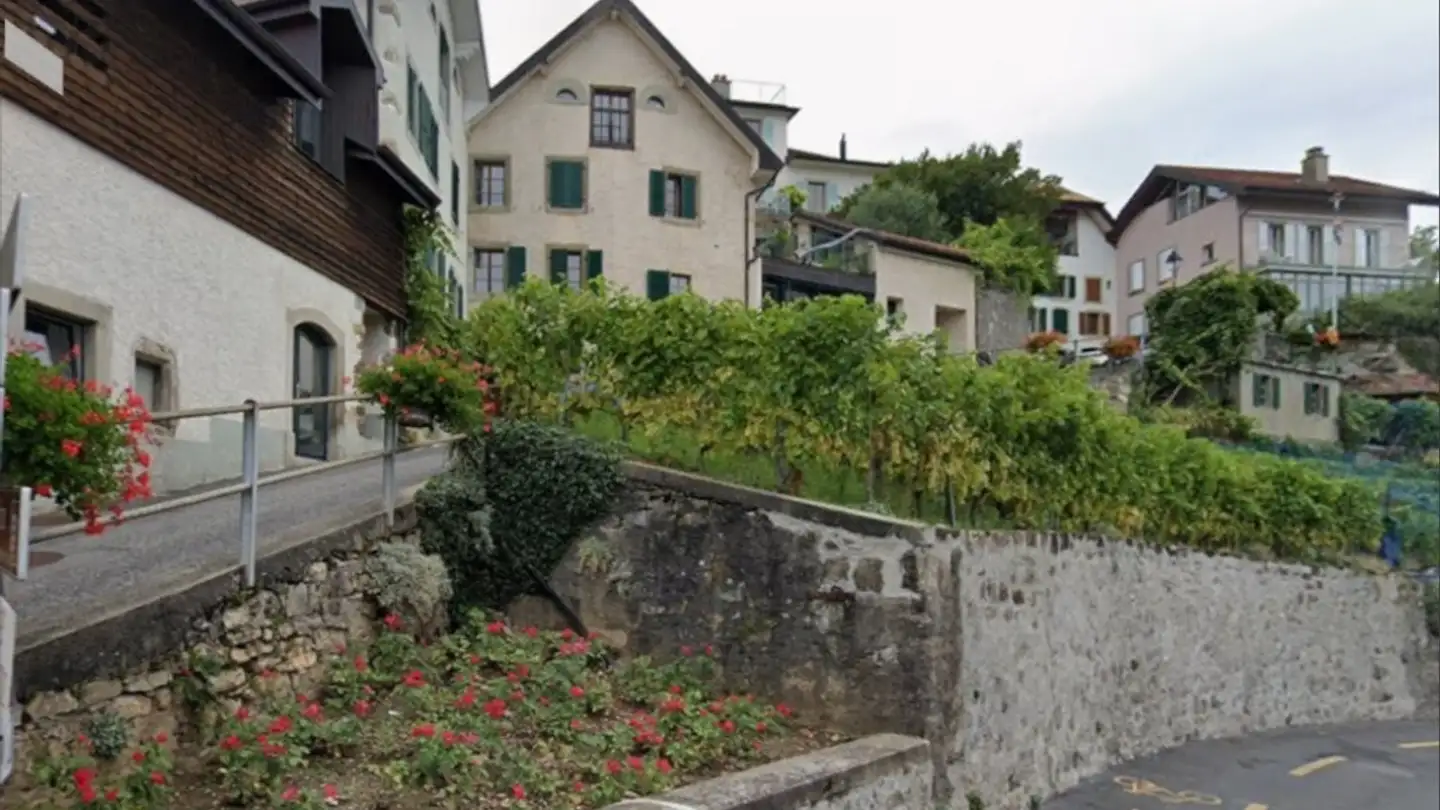 Appartement à louer - Chemin De La Cougnire 3, 1071 Chexbres