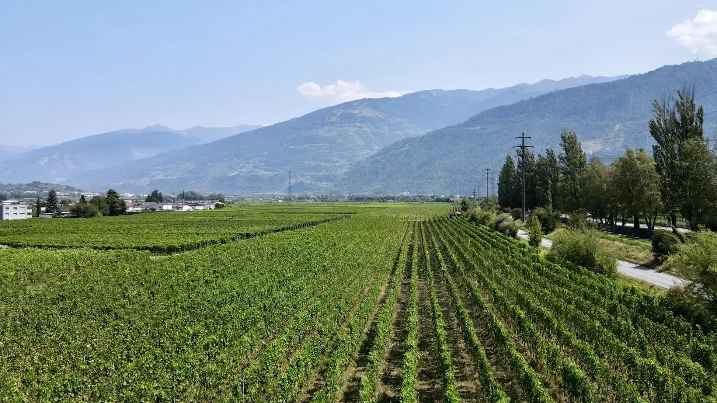 Penthouse for sale - Route De La Lizerne 15, 1963 Vétroz - Photo 4