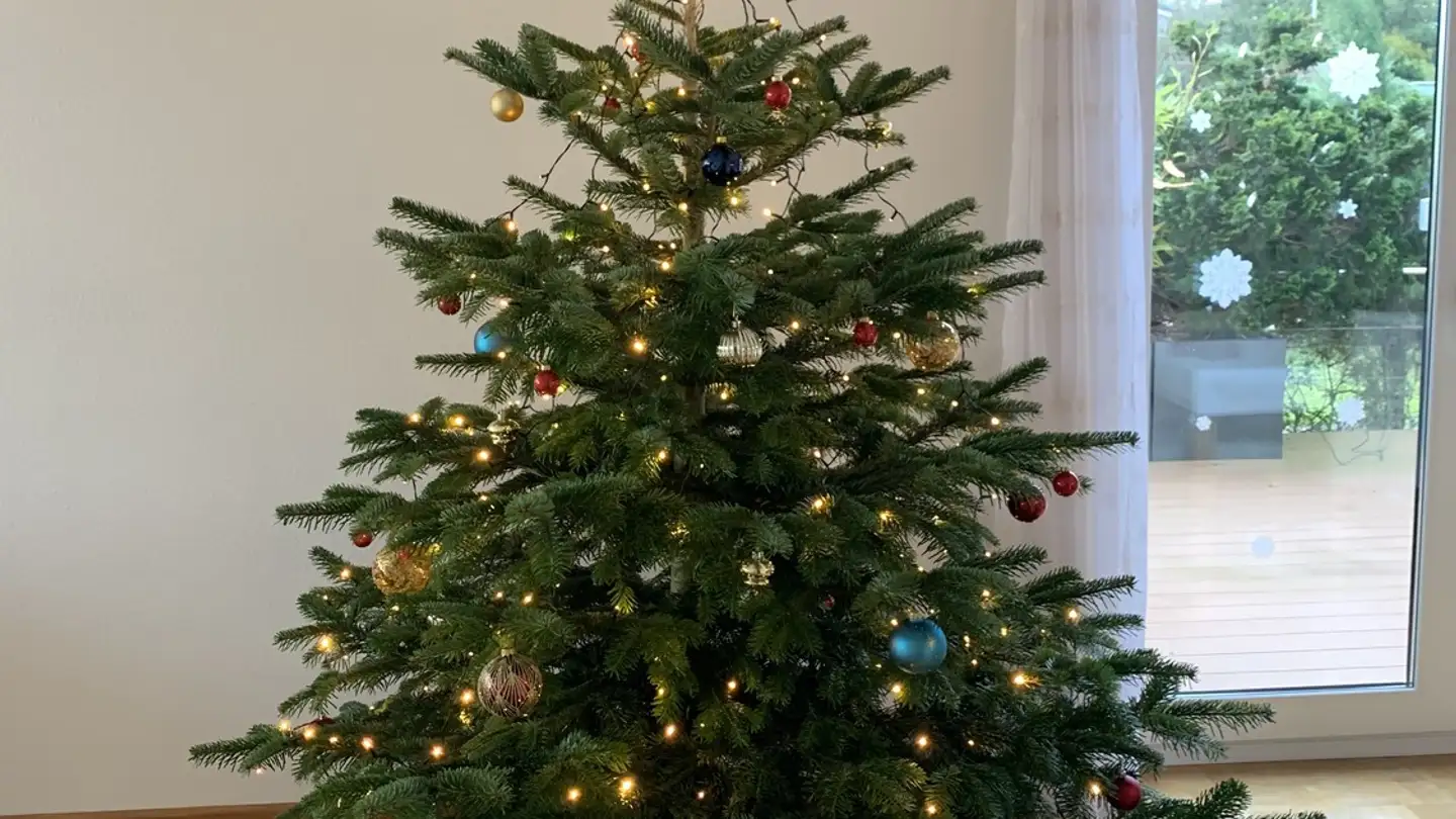 Appartamento in affitto - 8304 Wallisellen - Foto 4