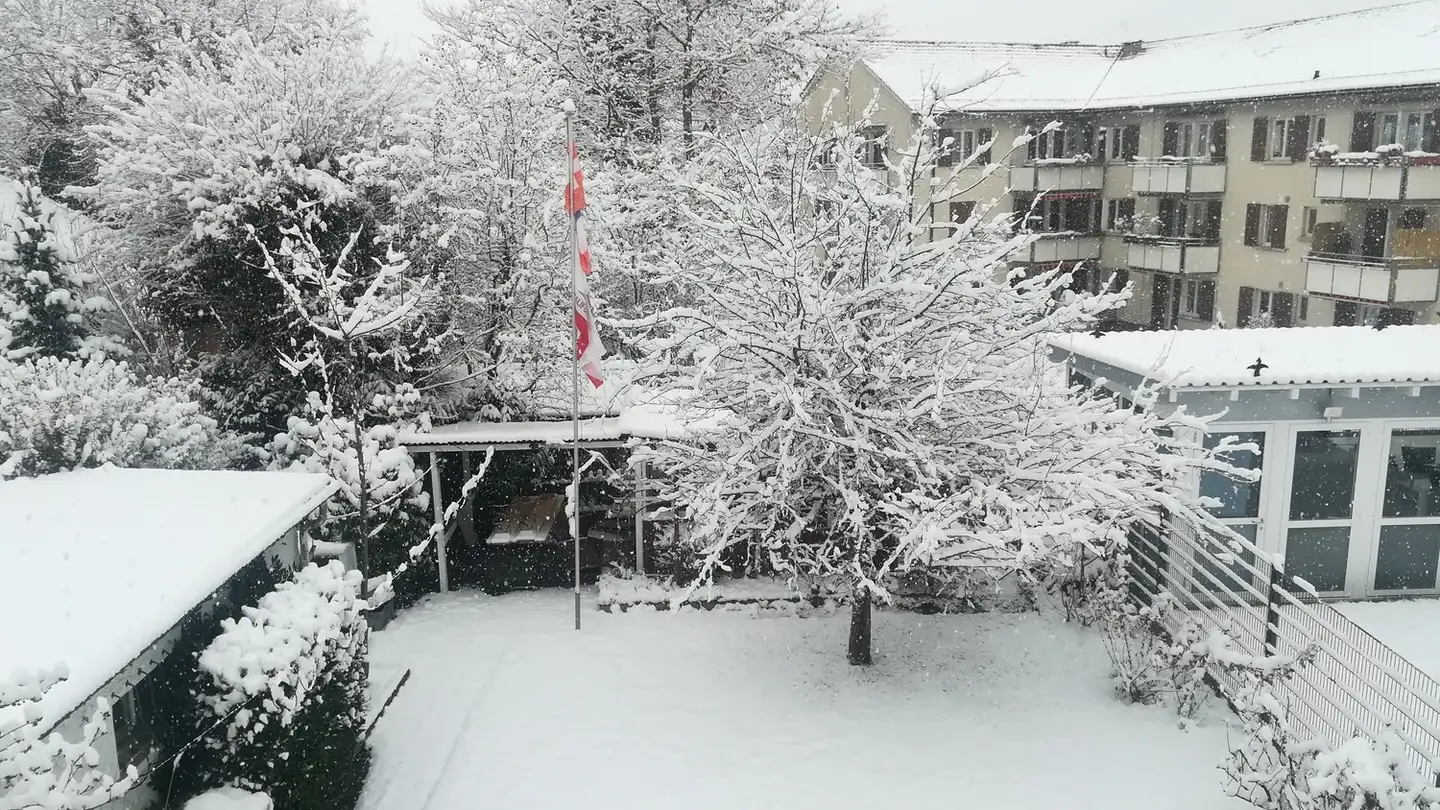 Single room for rent - 8050 Zürich