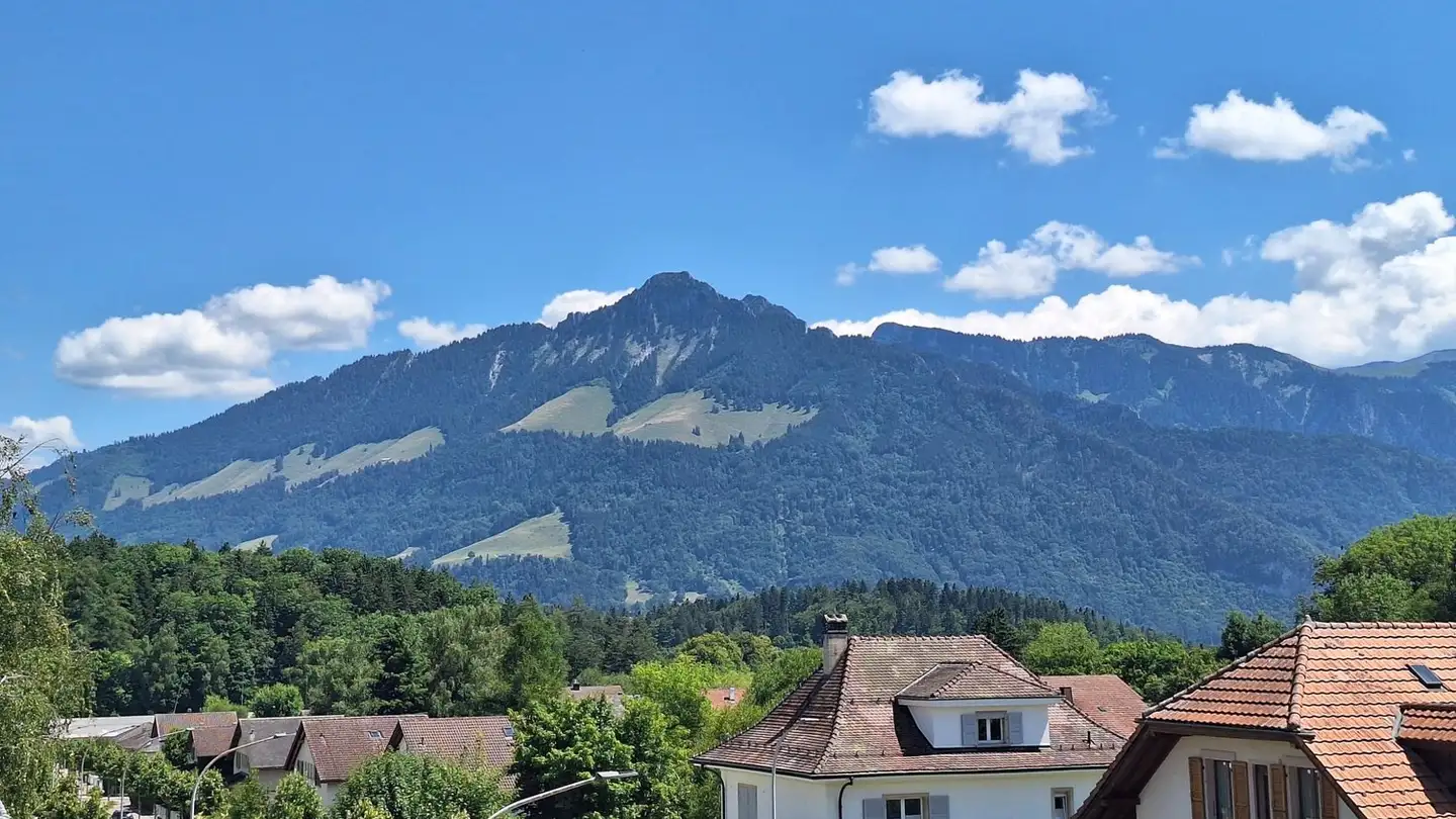 Appartement à vendre - Rue Du Russalet 7, 1630 Bulle - Photo 3