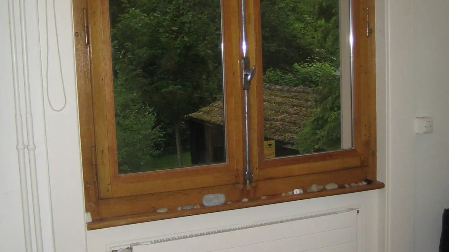 Single room for rent - Chemin Des Galéides 12, 1234 Vessy - Photo 3