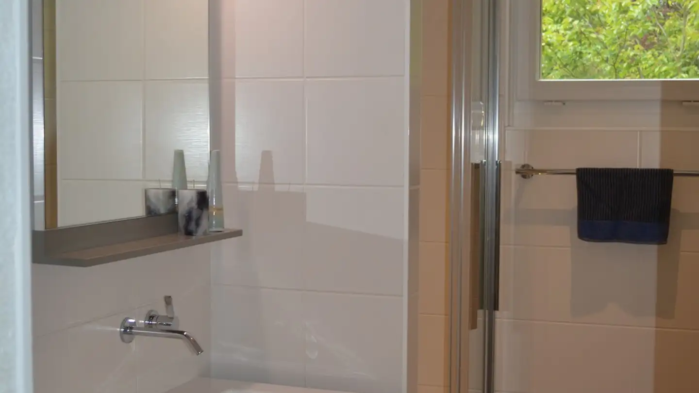 Single room for rent - Chemin Des Galéides 12, 1234 Vessy - Photo 4