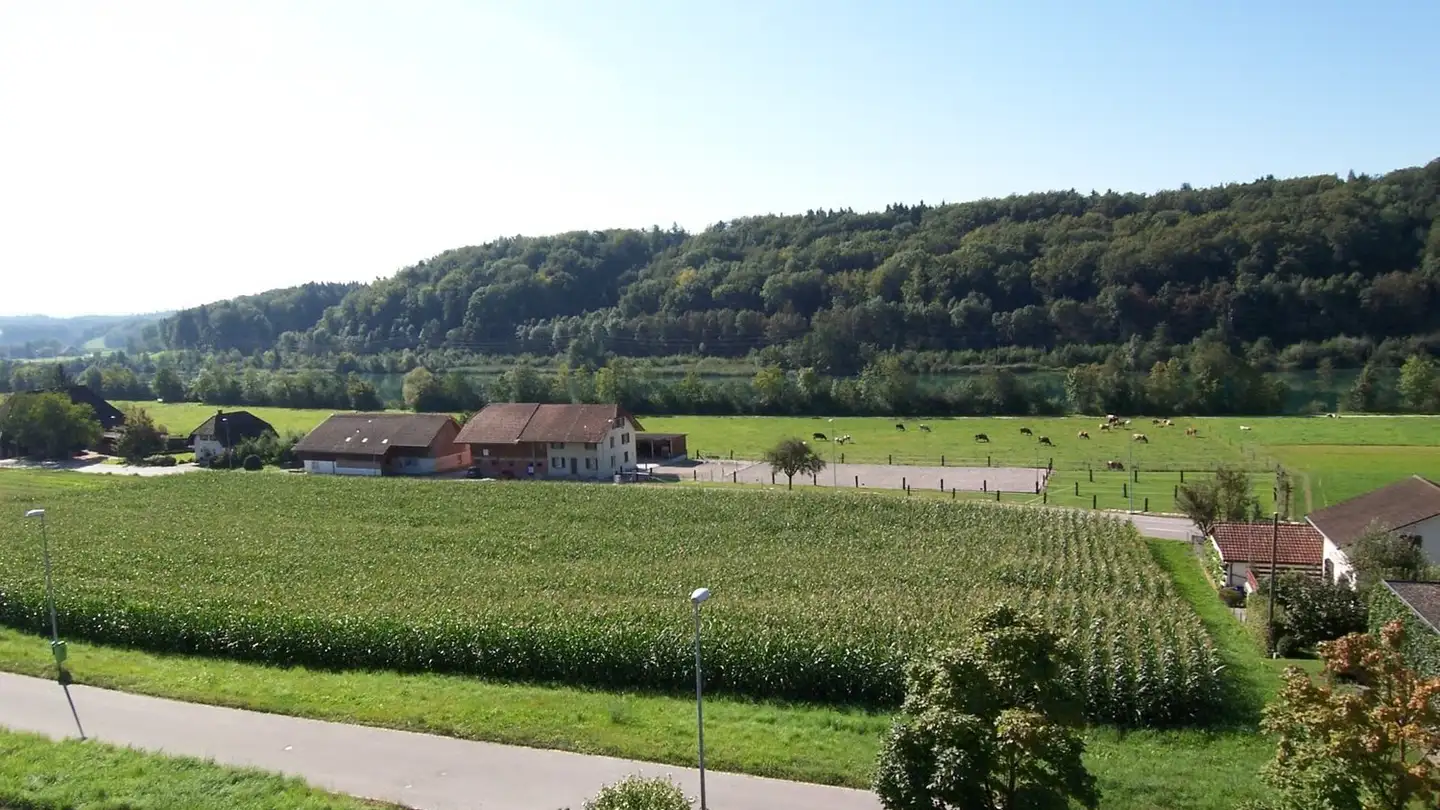 Parcheggio sotterraneo in affitto - Güschelstrasse 1, 3380 Walliswil b. Niederbipp - Foto 3