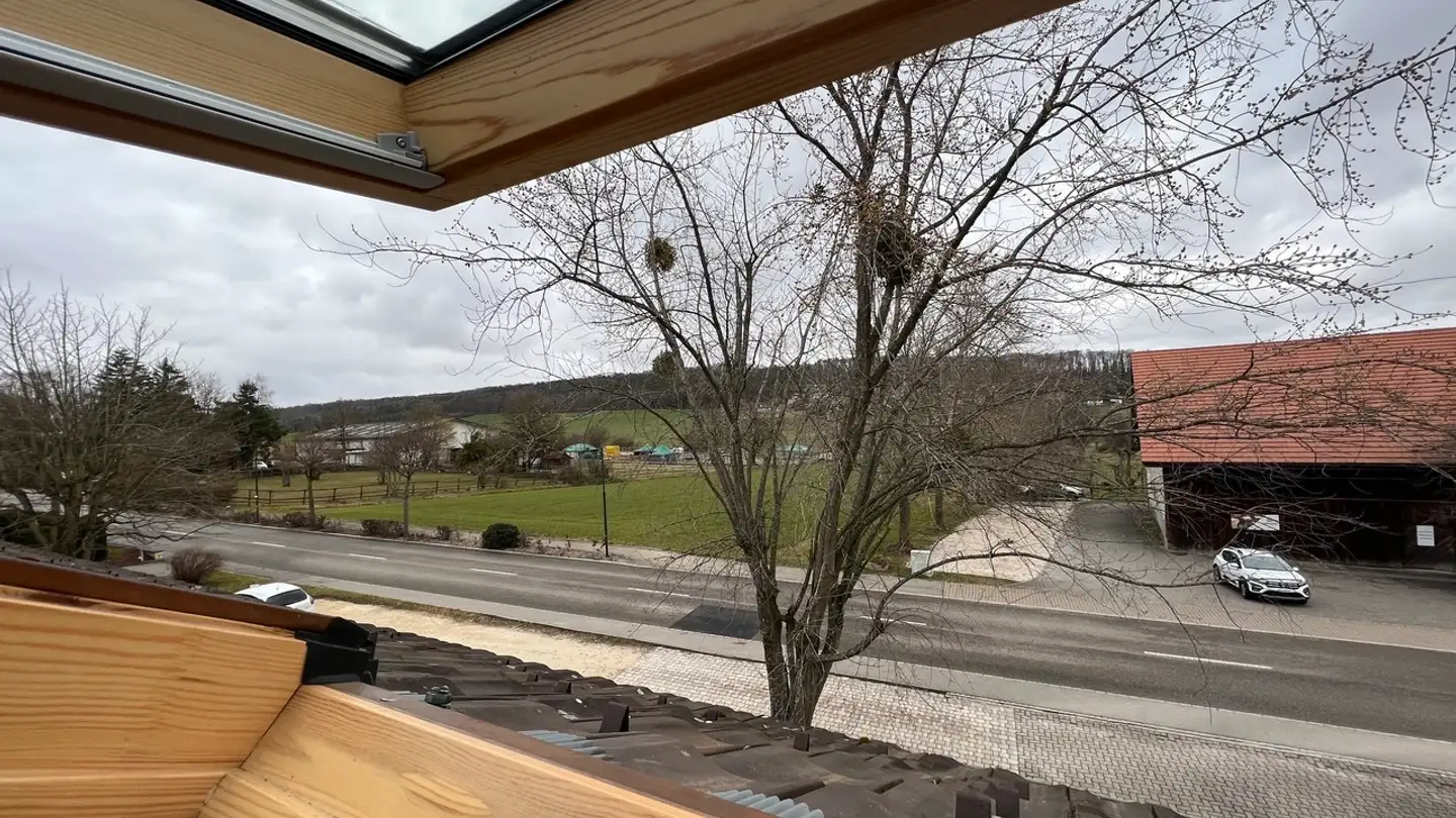 Attico in affitto - Metzerlenstrasse 1b, 4115 Mariastein - Foto 4