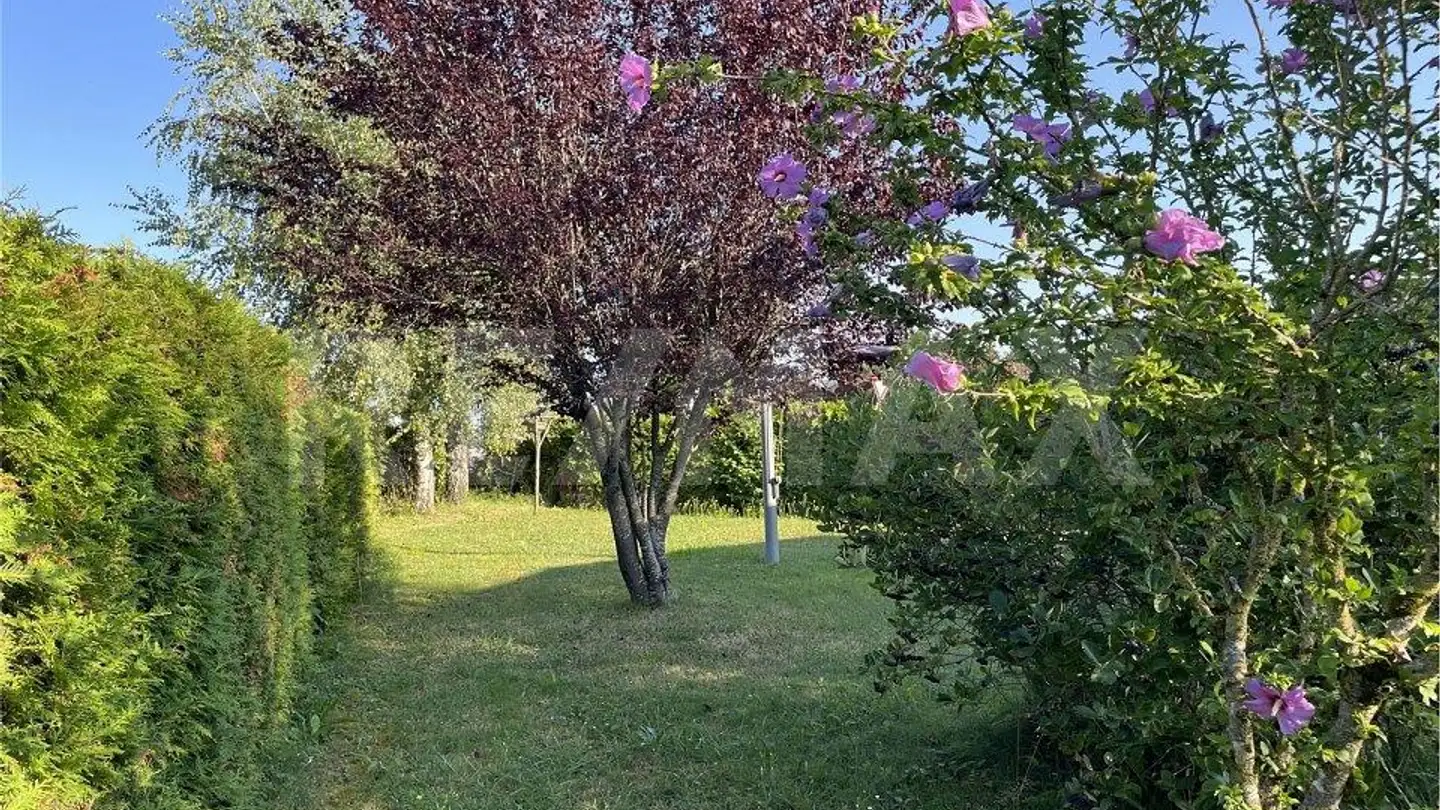 Terreno edificabile in vendita - 1544 Gletterens - Photo 4