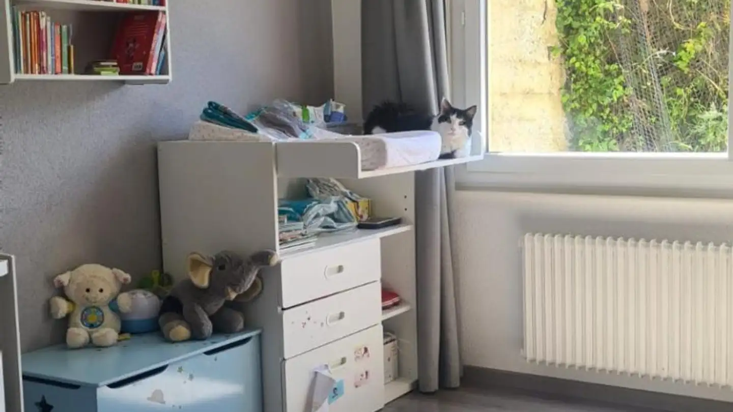 Appartamento in vendita - Route D'isérables, 1914 Auddes-sur-Riddes - Photo 2