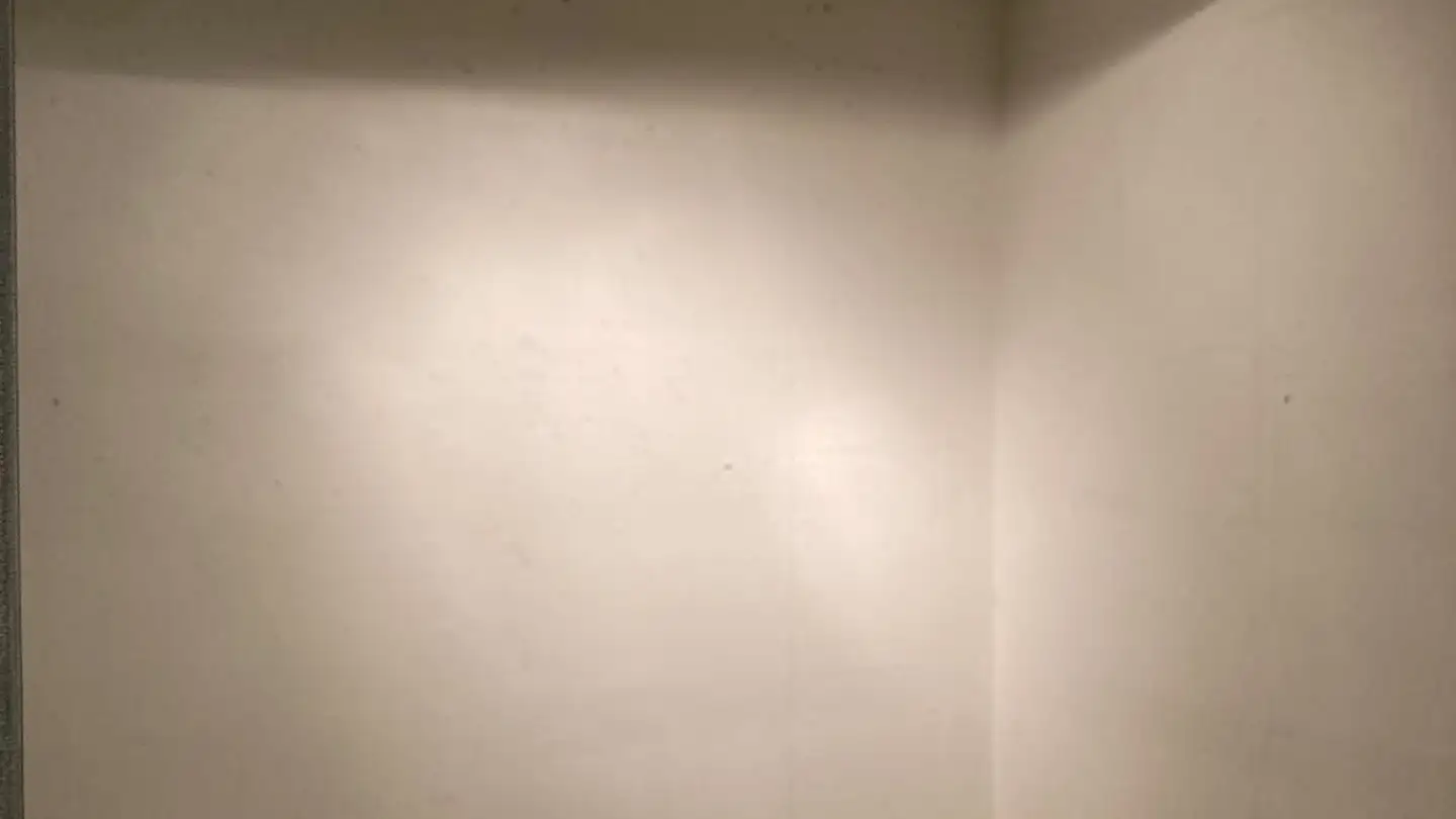 Storage space for rent - Ettingerstrasse 4, 4153 Reinach BL - Photo 3