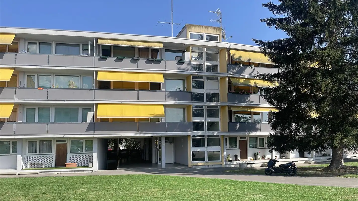 Espace de stockage à louer - Chemin De L' Ecu 15, 1219 Châtelaine
