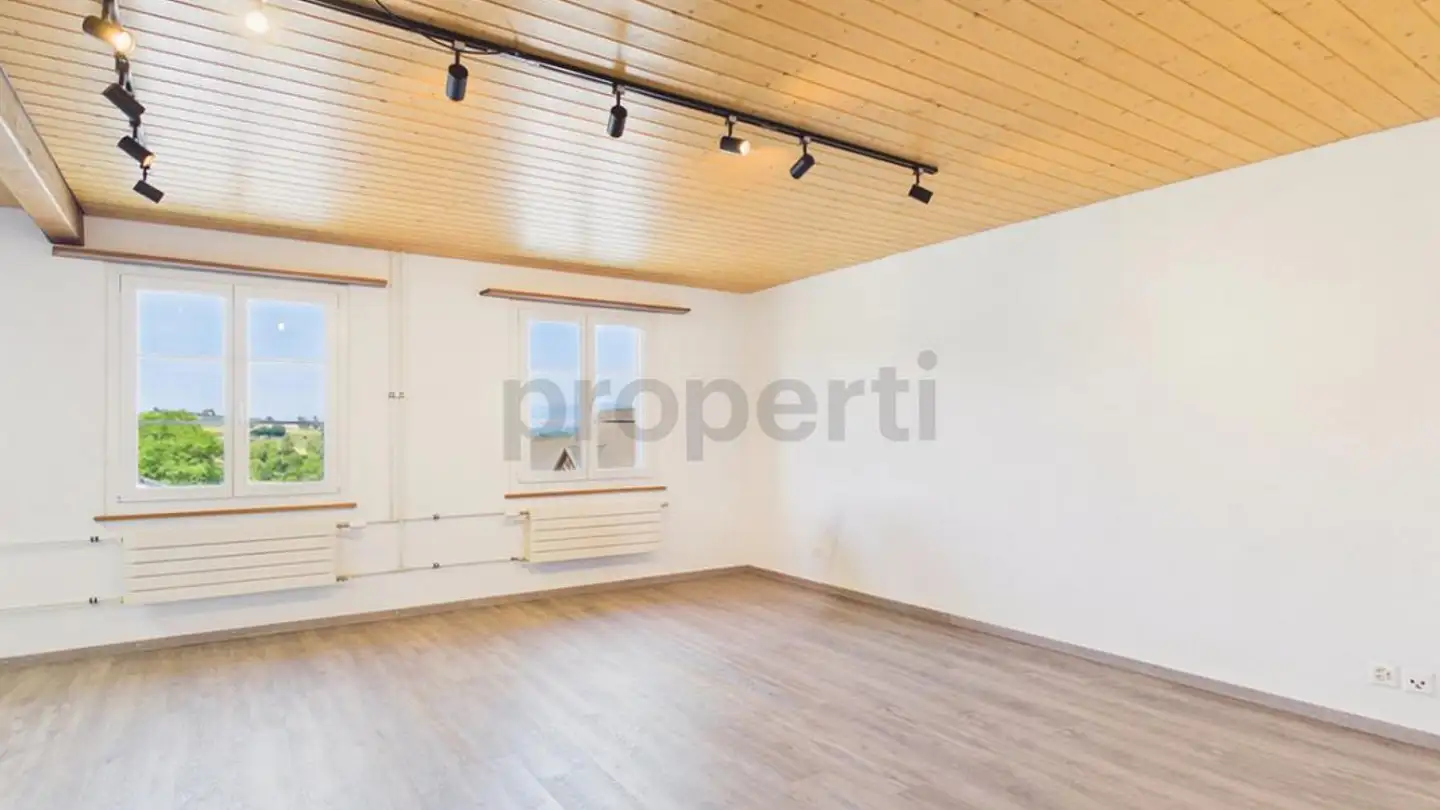 Apartment for rent - 4584 Lüterswil - Photo 4