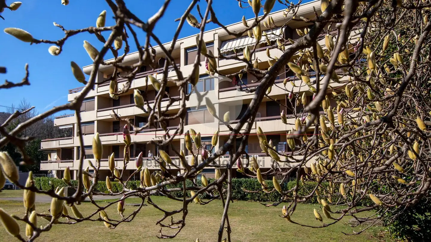 Appartement à louer - Via Camara 22, 6932 Breganzona