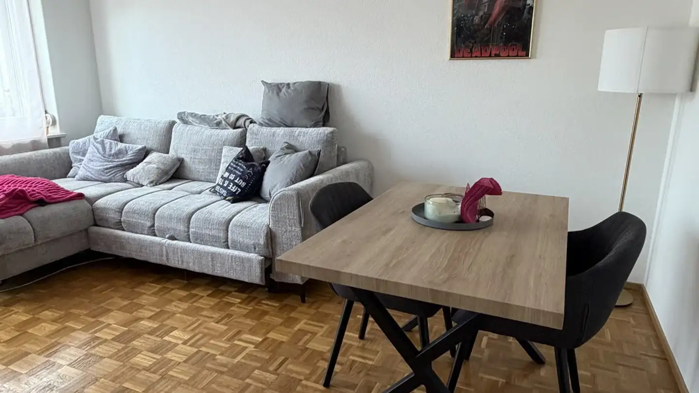 Appartamento in affitto - Burgstrasse 54, 8610 Uster - Foto 2