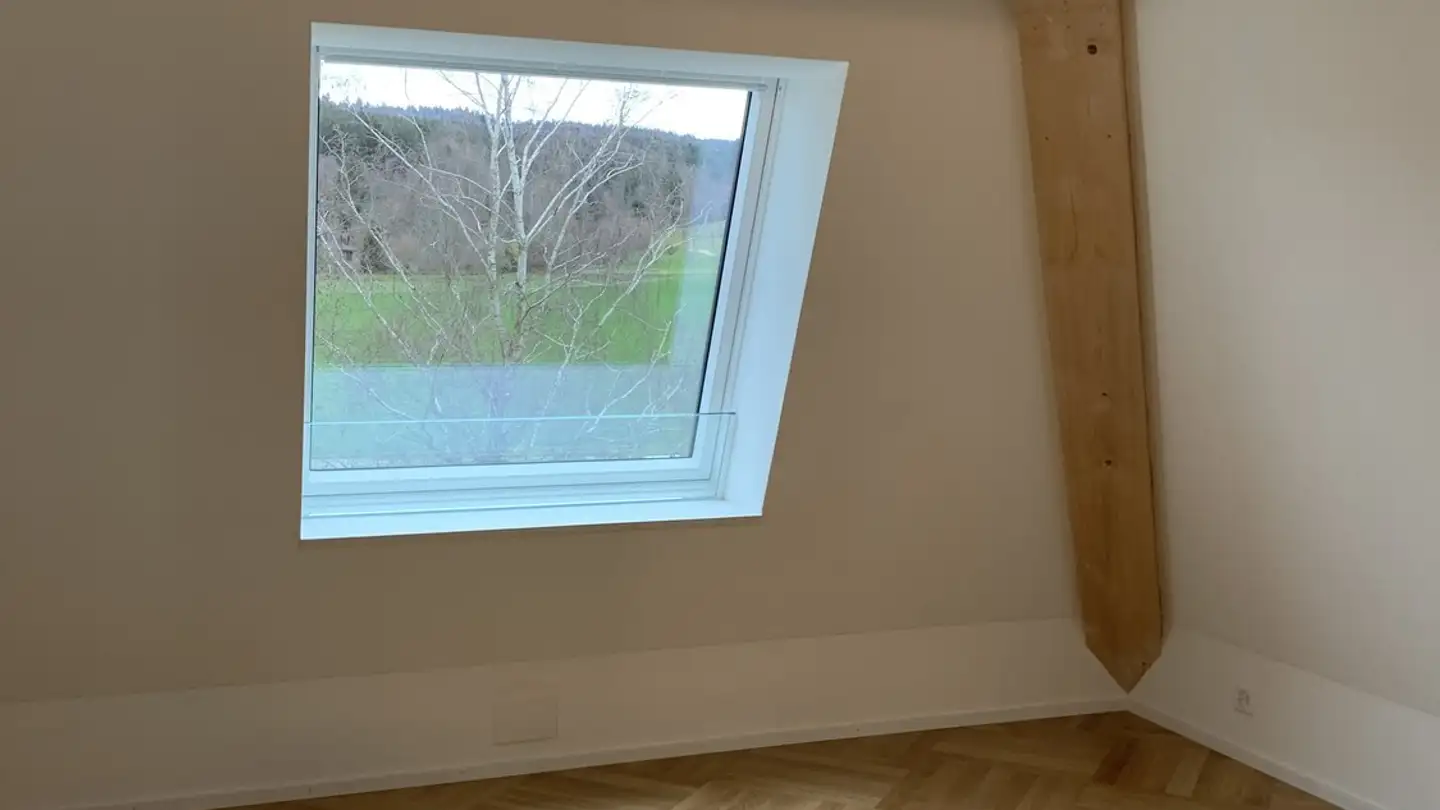 Apartment for rent - Jakob Stutz-Strasse 63, 8335 Hittnau - Photo 4