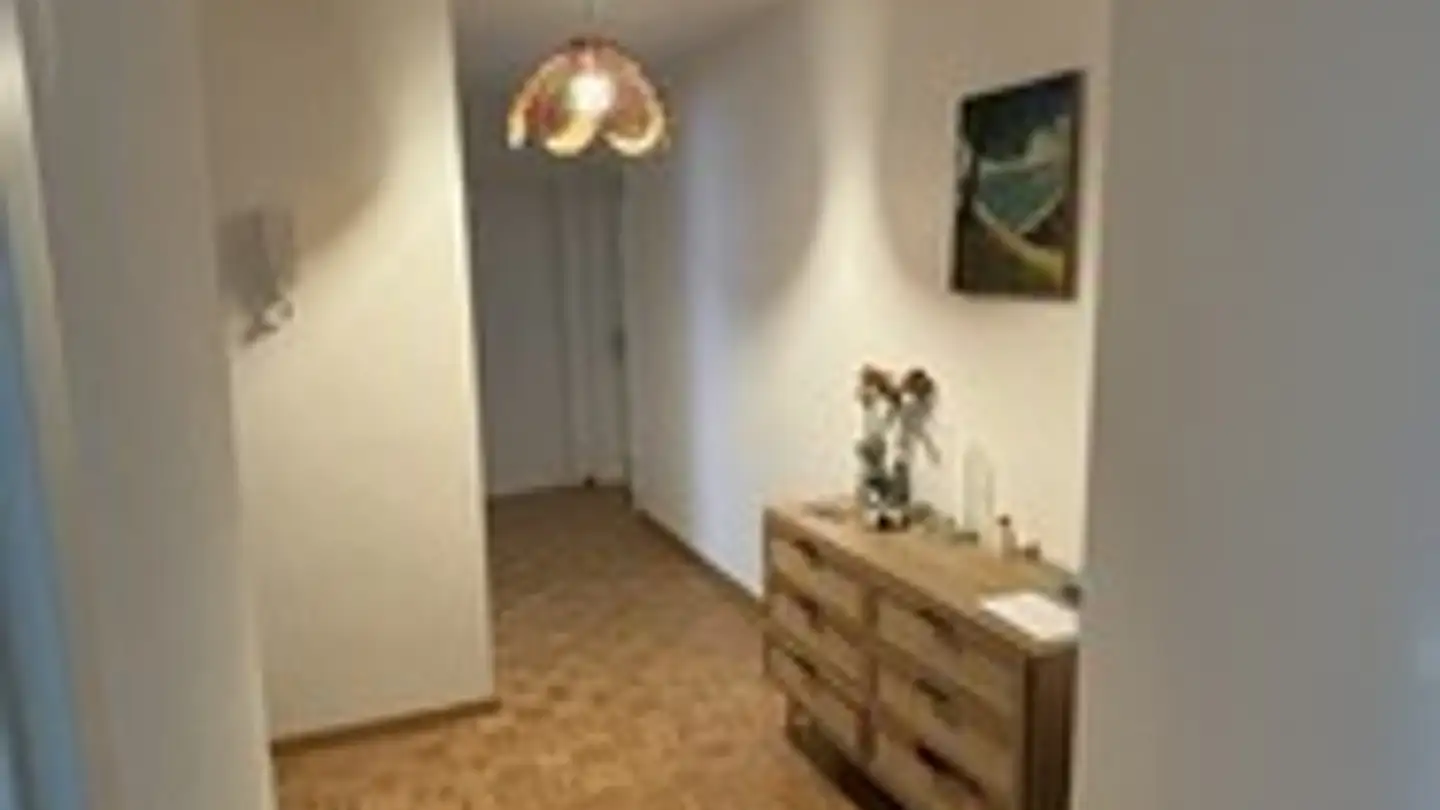 Single room for rent - Neunbrunnenstrasse 228, 8046 Zürich - Photo 2