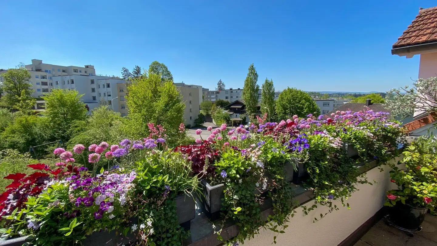 Apartment for rent - 8910 Affoltern am Albis - Photo 3