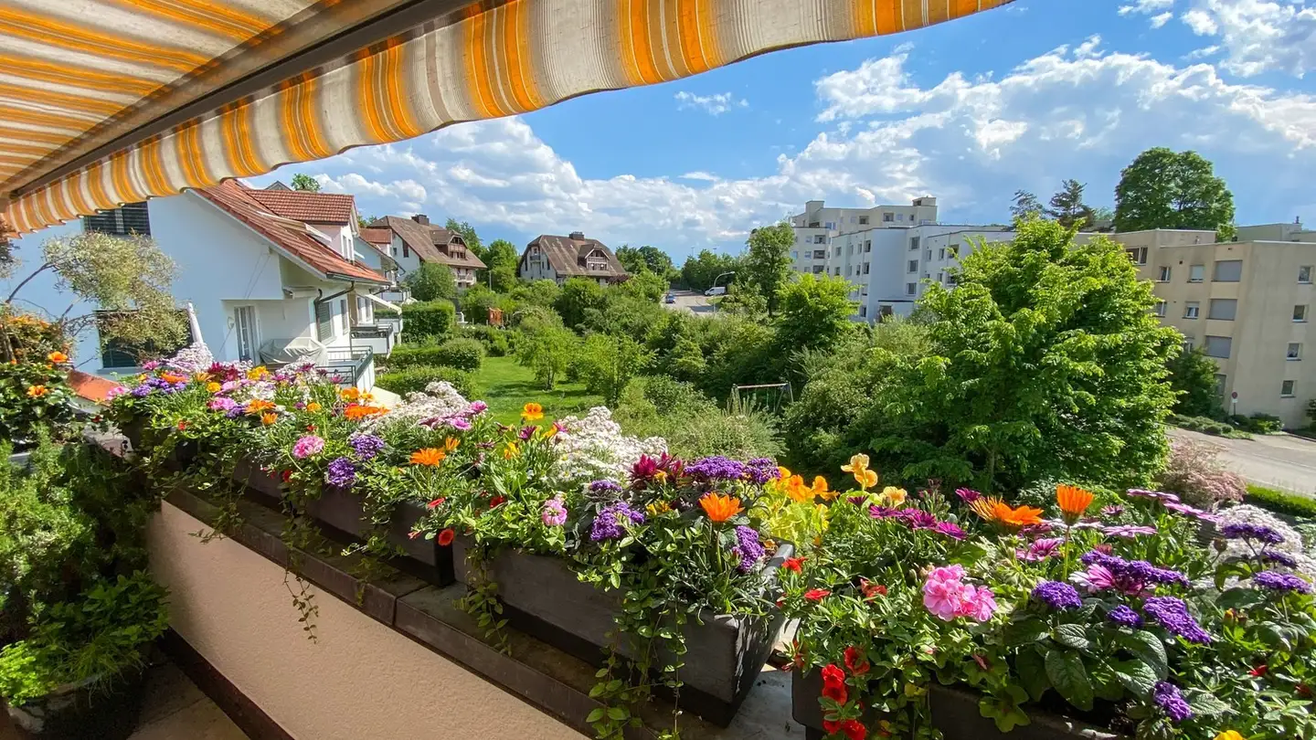 Apartment for rent - 8910 Affoltern am Albis - Photo 4