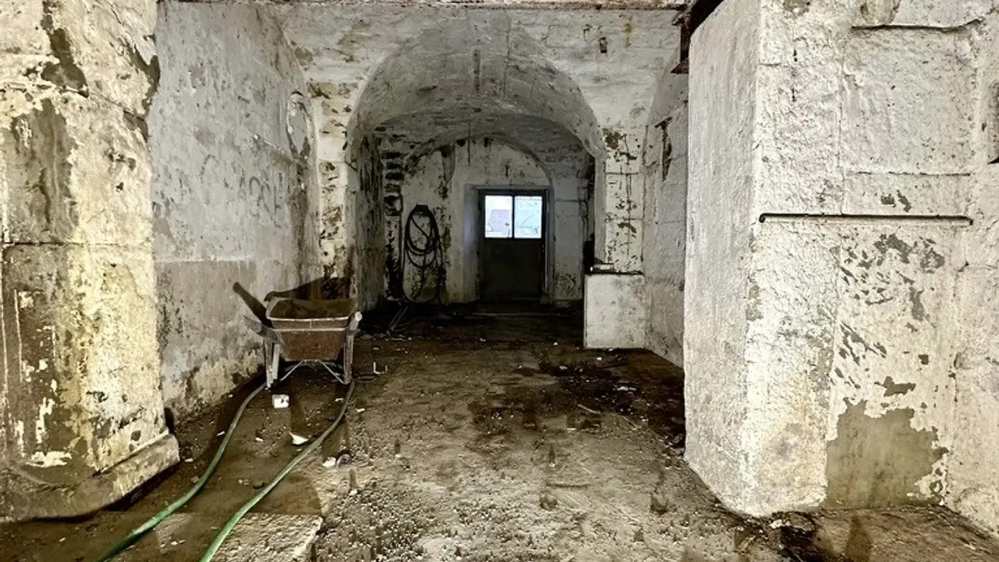 Appartement à vendre - Chemin De La Buchille 1, 1694 Villarsiviriaux - Photo 2