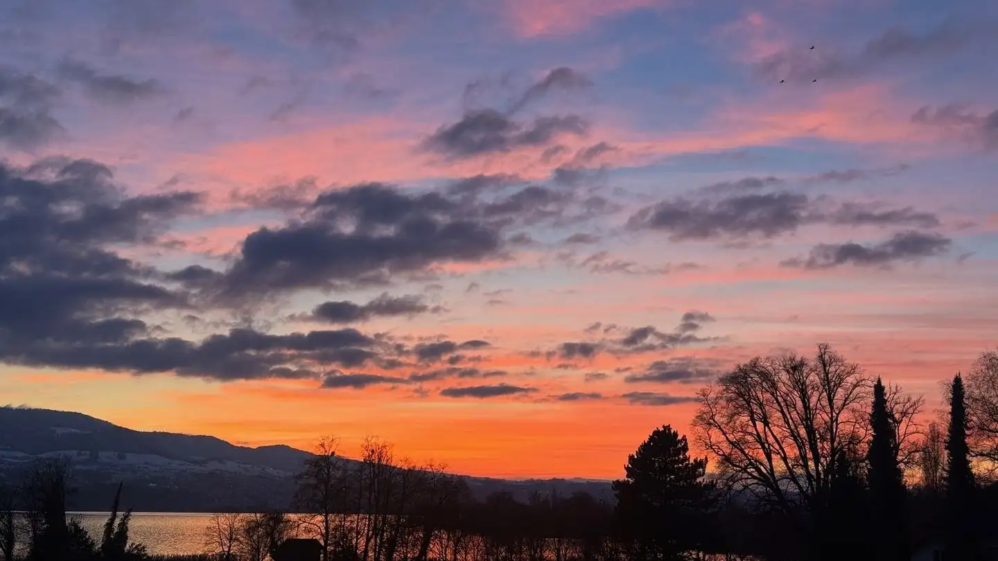 Casa bifamiliare in affitto - Zürcherstrasse 282, 8645 Jona - Foto 3