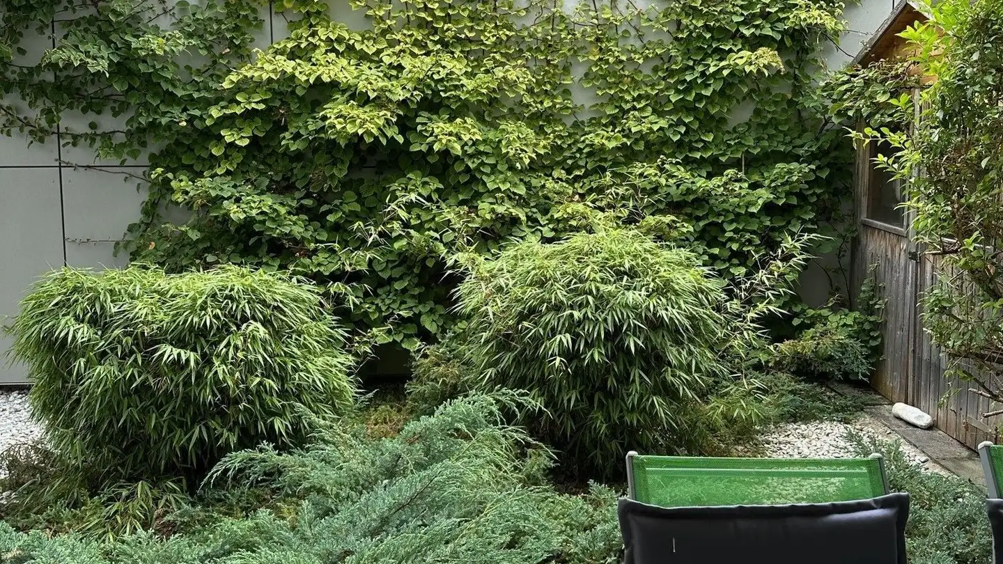 Appartamento in affitto - Schlossbergstrasse 38, 8820 Wädenswil - Foto 3