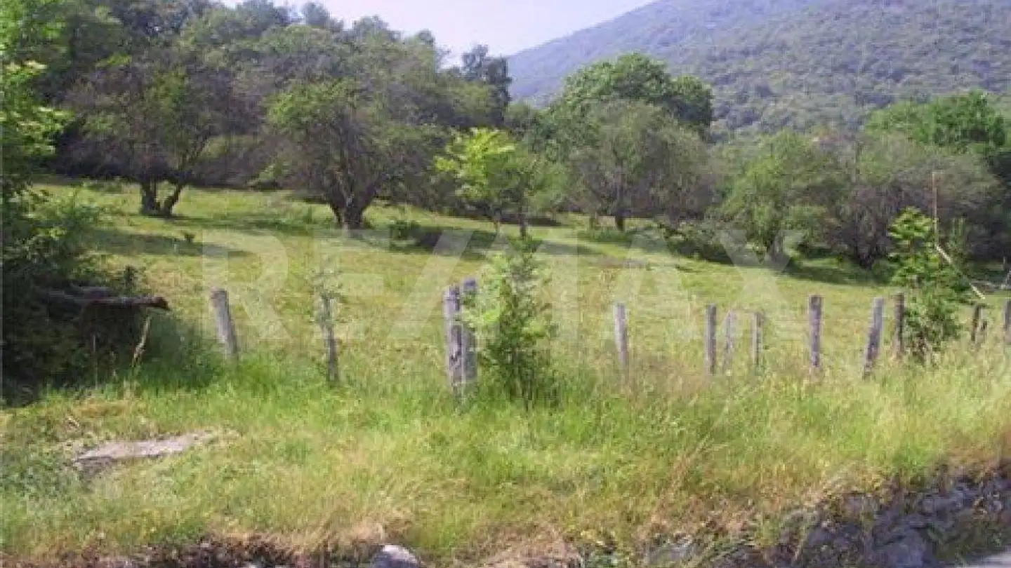 Constructible plot for sale - 6997 Sessa