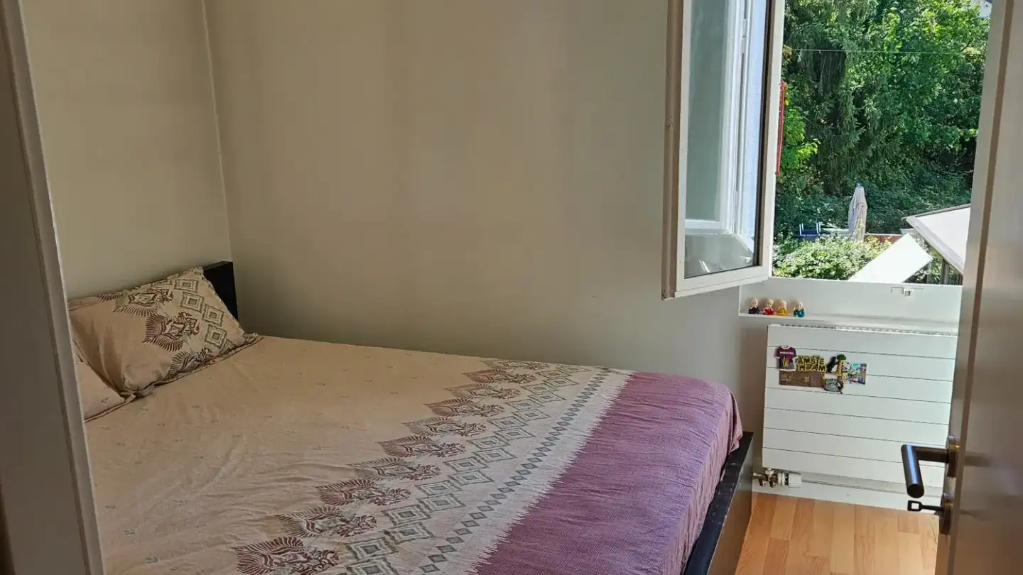 Appartamento in affitto - Route de Suisse, 1290 Versoix - Foto 4