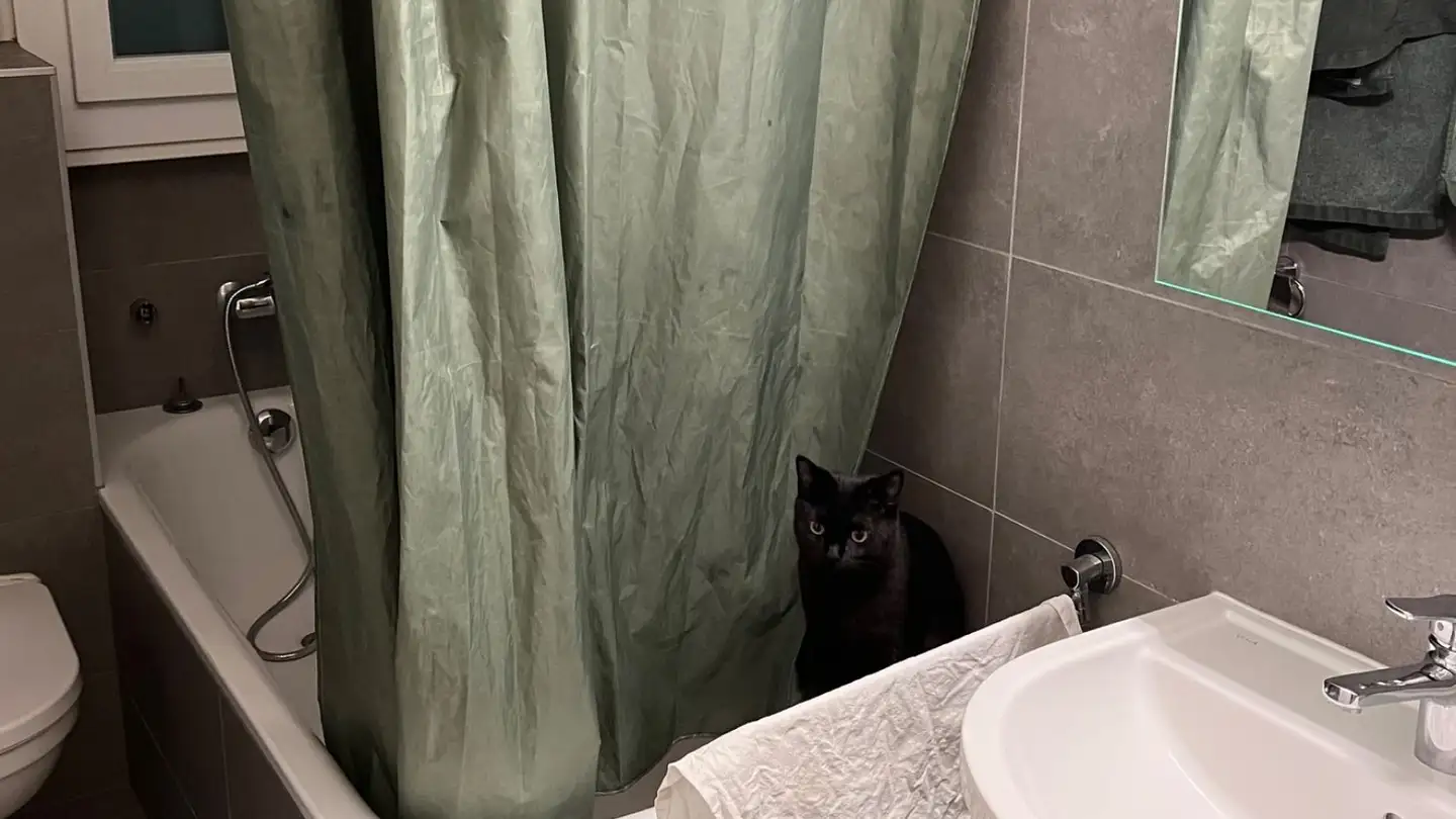 Apartment for rent - Rue Saint-Louis 1, 1110 Morges - Photo 3