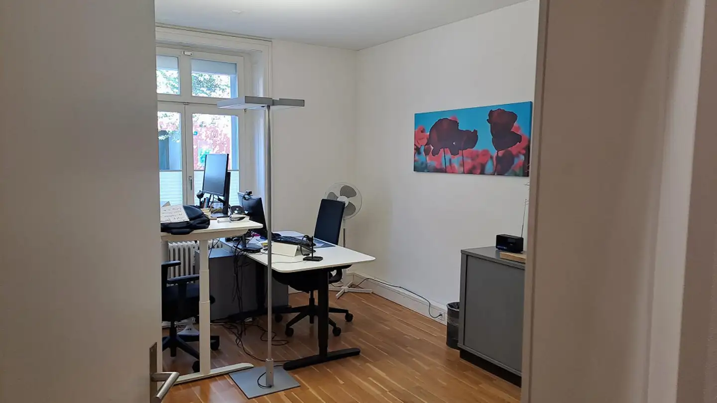 Studio medico in affitto - Eulerstrasse 53, 4051 Basel - Foto 3