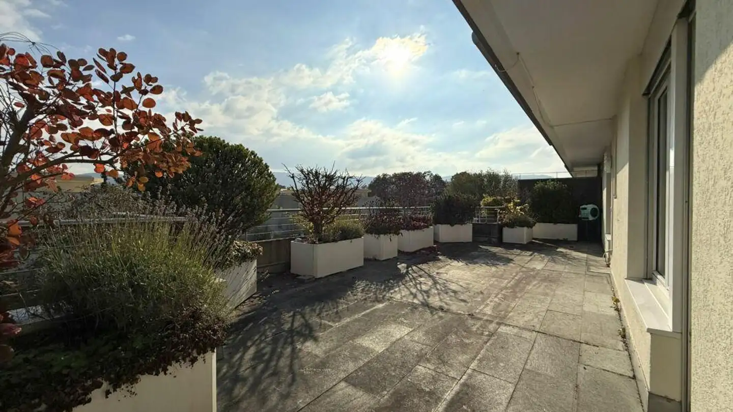 Appartement à vendre - Steinrebenstrasse 170, 4153 Reinach BL