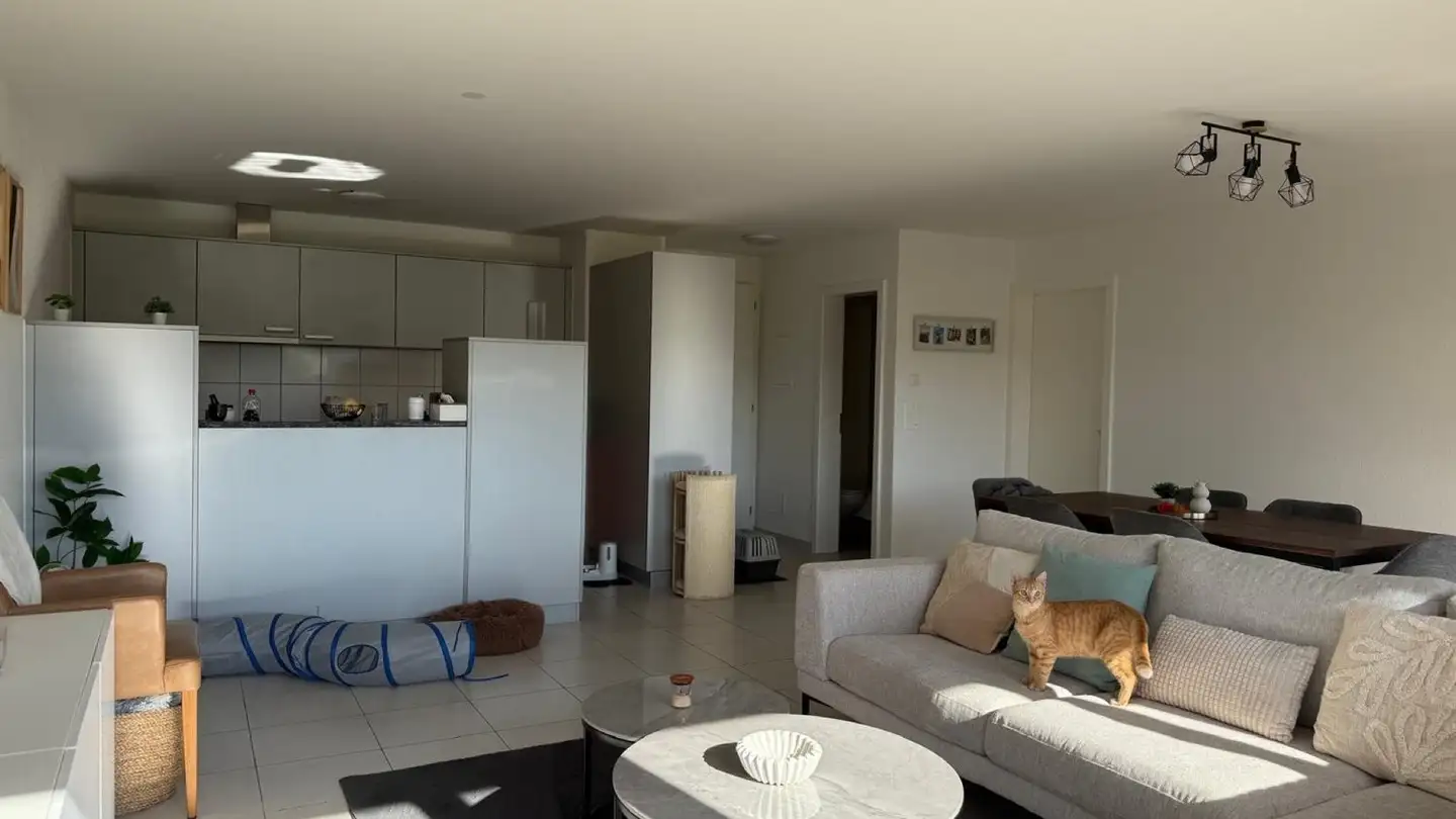 Appartamento in affitto - 1762 Givisiez - Foto 2