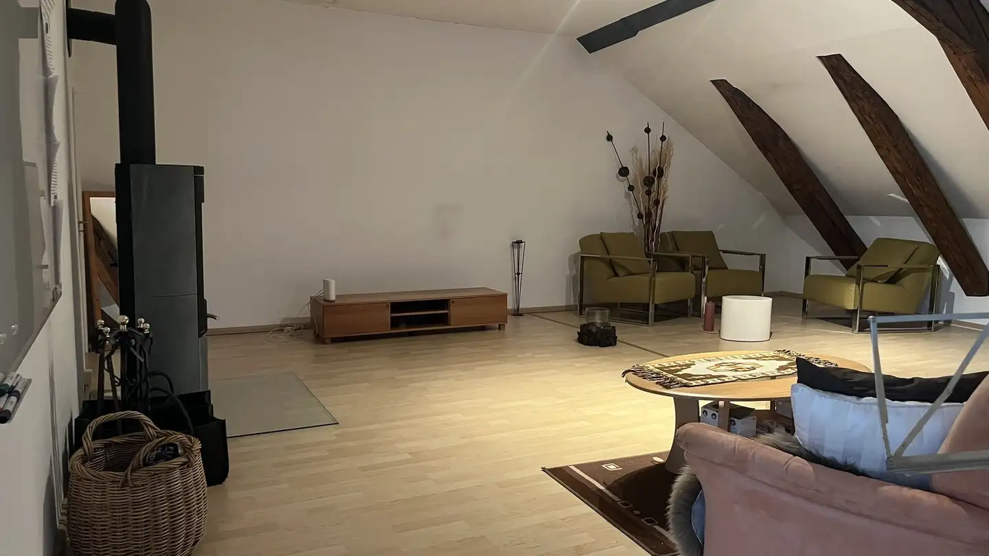 Single room for rent - 4207 Bretzwil - Photo 4