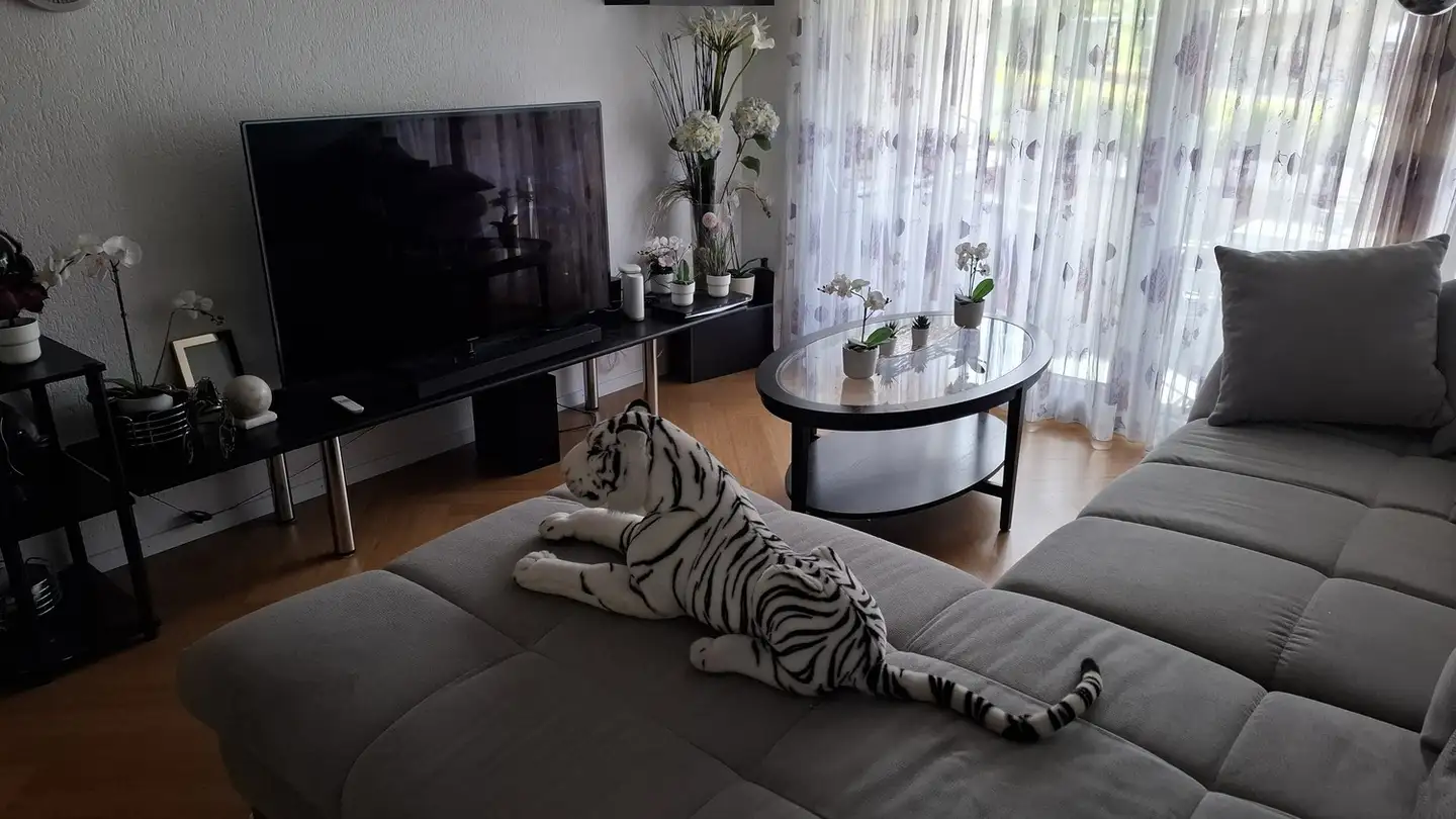 Appartement à louer - 8808 Pfäffikon SZ