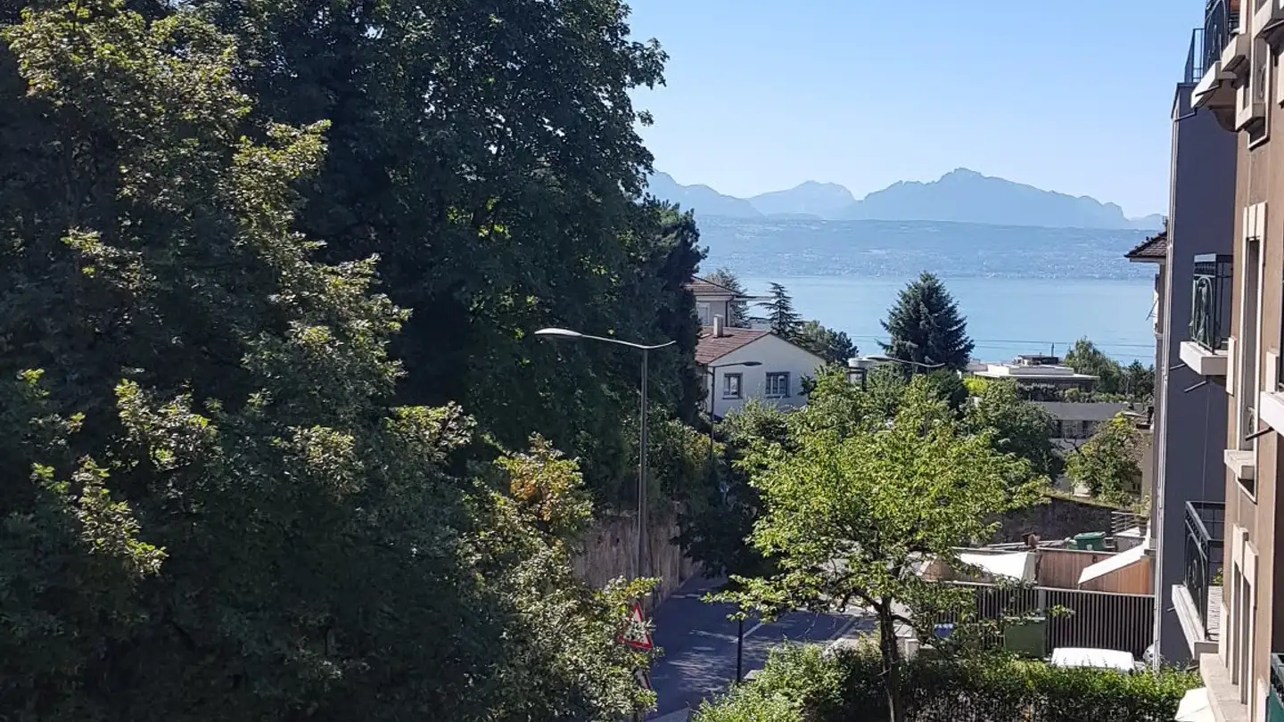 Appartamento in affitto - Chemin De Montelly, 1007 Lausanne - Foto 2