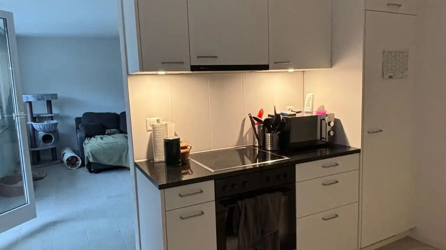 Apartment for rent - Gattikerweg 1, 8136 Gattikon - Photo 3