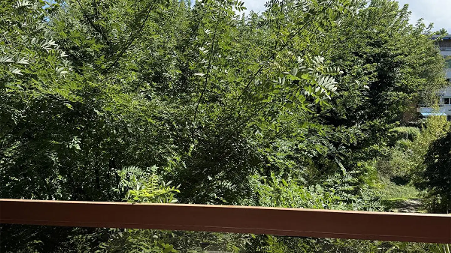 Möblierte Wohnung mieten - Via Roncaccio 7, 6900 Lugano - Foto 3