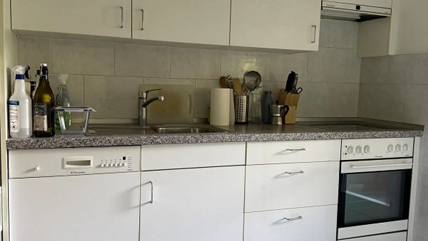 Möblierte Wohnung mieten - Via Roncaccio 7, 6900 Lugano - Foto 4