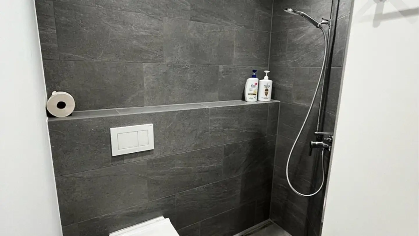 Single room for rent - Bifangstrasse 1, 6048 Horw - Photo 3