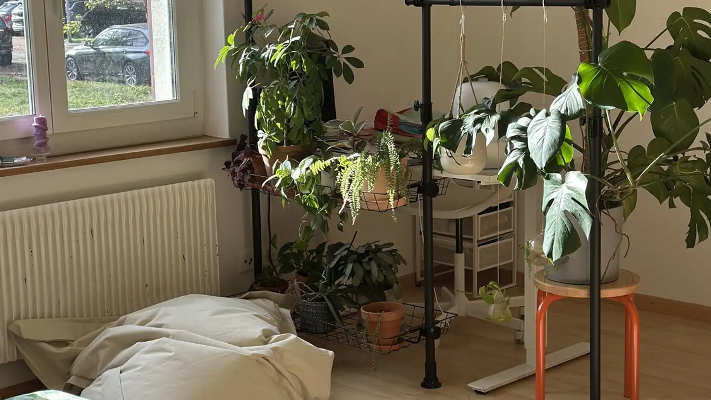 Appartamento in affitto - 8038 Zürich - Foto 4